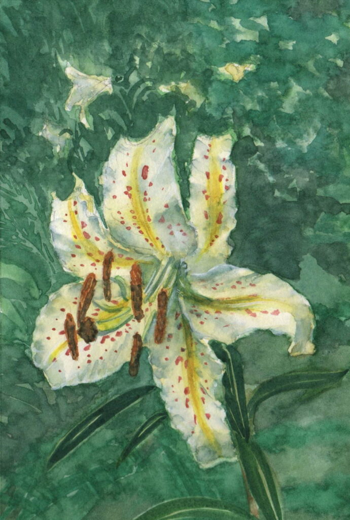 産直販売用絵1
